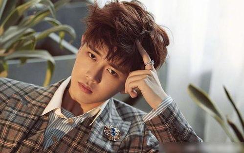 娱乐吃瓜君任嘉伦,娱乐吃瓜界的“瓜王”传奇 第2张 娱乐吃瓜君任嘉伦,娱乐吃瓜界的“瓜王”传奇 第2张